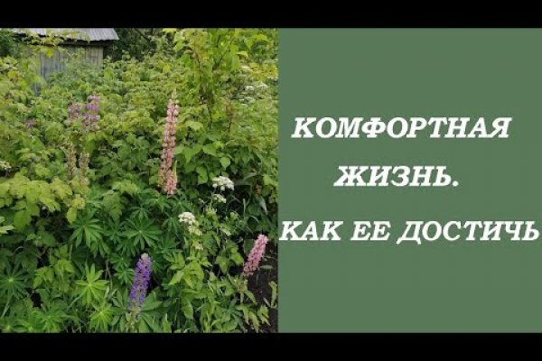 Как зайти на маркетплейс кракен