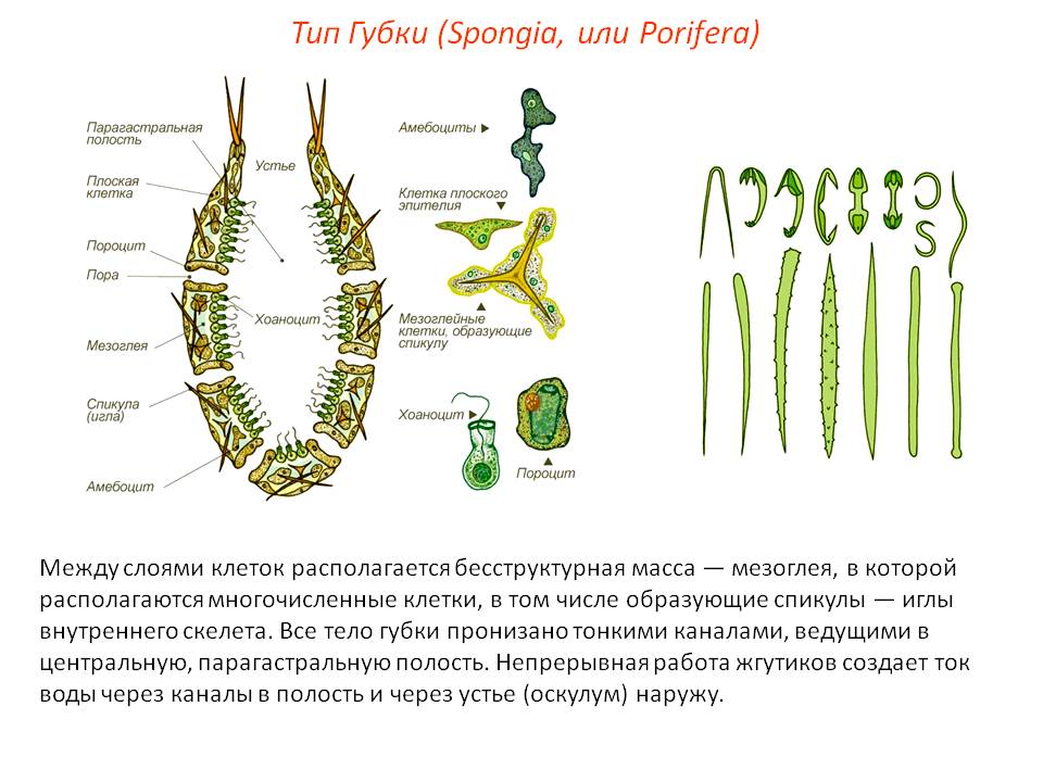 Кракен купить мефедрон